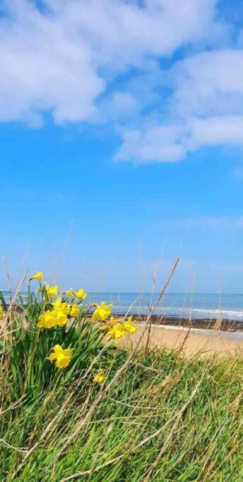 Herne Bay Central - 2 Minutes From Beach Apartment Εξωτερικό φωτογραφία