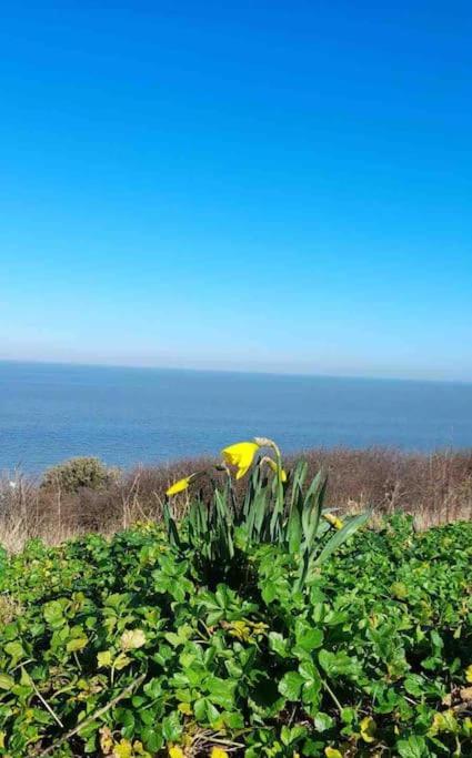 Herne Bay Central - 2 Minutes From Beach Apartment Εξωτερικό φωτογραφία